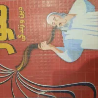 کتاب دینی صور زندگی استاد صائلی ماز