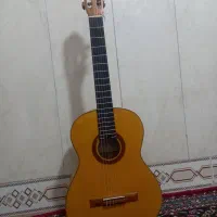 گیتار. مارسلو