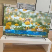 تلوزیون ۶۵ اینچ اسنوا