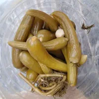 خیارشور