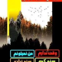 درآمد با گوشی