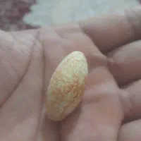 سنگ اصلی