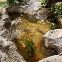 نیروی خدماتی خانم