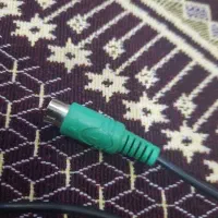 موس قدیمی|کلکسیون اشیاء عتیقه|قم, باجک دو|دیوار