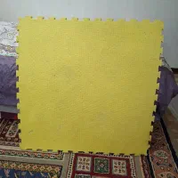 تاتامی یک در یک ۲۰ میل