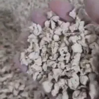 سویا فله درشت و باکیفیت