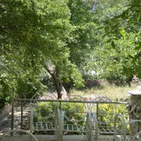 فروش-باغ-چهاردیواری-باسند-6-دانگ