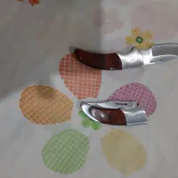 پردیس چهاراه شباهنگ