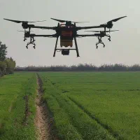 سمپاشی مزارع کشاورزی گندم با پهپاد ( پهباد )