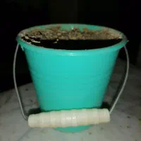 تعدادی گلدان سالم