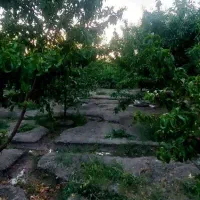 چهار دیواری موسیان