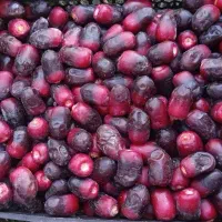 خرما مضافتی ربی درجه یک