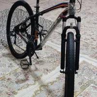 دوچرخه فونیکس سایز ۲۹