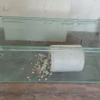 شیشه اکواریوم