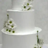 کیک عروس|خوردنی و آشامیدنی|زاهدان, |دیوار