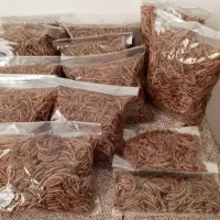 میلورم خشک و زنده