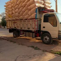 کاه سفید درجه یک کرمانشاه