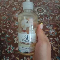 لوازم سگ