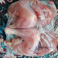 مرغ