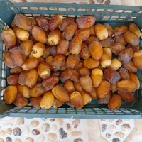 رطب طلایی لوکس