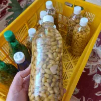 غوره شور