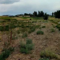 ۲۵ قصب زمین درب بهشت ساردو