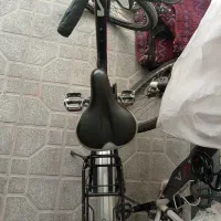 دو چرخه توریستی اصلی ویوا
