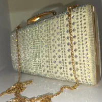کیف دستی مجلسی
