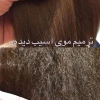 سالن زیبایی فری ماه