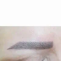 میکرو ابرو. قیمت استثنایی. به مدت محدود.