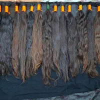 مو۵۰ب بالامیخرم