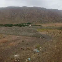 25قصب در دهبکری