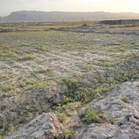 زمین ۶۰متری سازمان آب پردیس