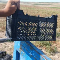 جعبه