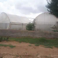 سه هزارگلخانه کوچه باغسرا ینگه قلعه(املاک نیاوران)