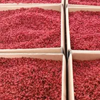 حراج زرشک قرمز مشهد برای نذری خوش رنگ