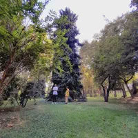 128متر-2-خواب