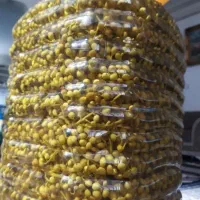 ترشی بنشکو خیلی خشمزه