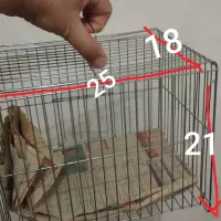 قفس پرنده
