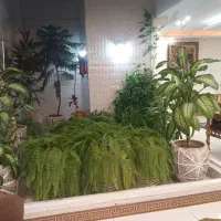 فروش ویلایی شمالی در حکیمیه