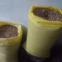 بادام تلخ