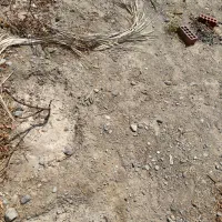 زمین شهرک عاشورا