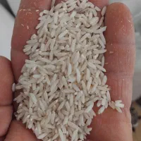 برنج طارم دم سیاه عطری پخت عالی