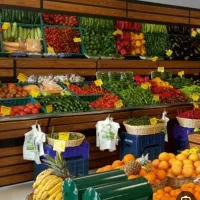 فروش امتیاز میوه فروشی