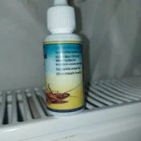 سوسکش قوی آشپزخانه