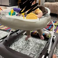 روروئک اسپرینگ سه کاره