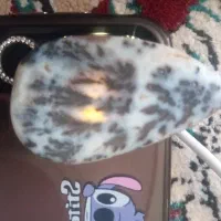 شجر درختی