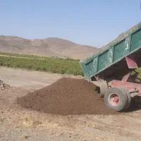 کود درجه یک خشک خشک، گاوداری صنعتی