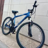 دوچرخه جاینت
