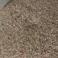 خرده برنج دون درشت تمییز